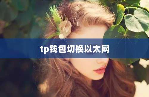 tp钱包切换以太网