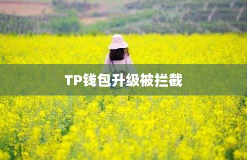 TP钱包升级被拦截