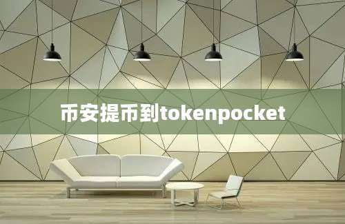 币安提币到tokenpocket
