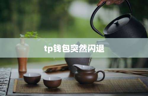 tp钱包突然闪退