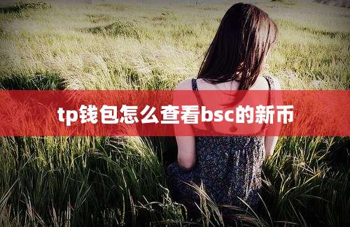 tp钱包怎么查看bsc的新币