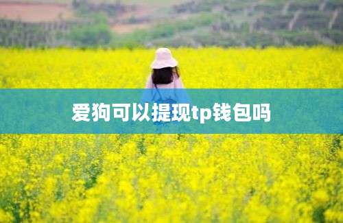 爱狗可以提现tp钱包吗