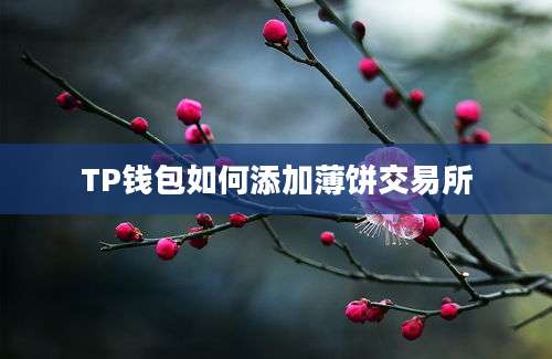 TP钱包如何添加薄饼交易所