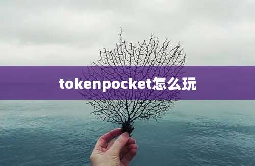 tokenpocket怎么玩