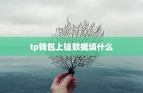 tp钱包上链数据填什么