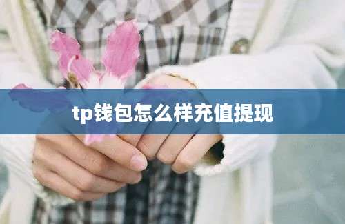 tp钱包怎么样充值提现