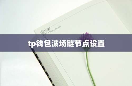 tp钱包波场链节点设置