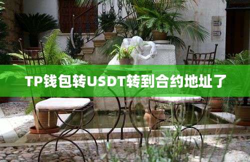 TP钱包转USDT转到合约地址了