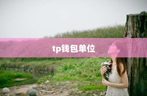 tp钱包单位