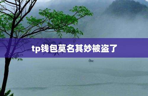 tp钱包莫名其妙被盗了