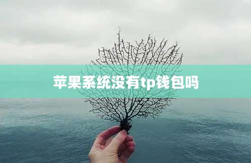 苹果系统没有tp钱包吗