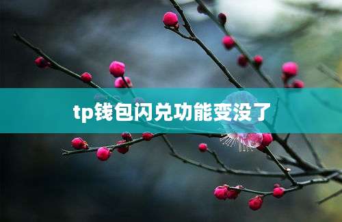 tp钱包闪兑功能变没了
