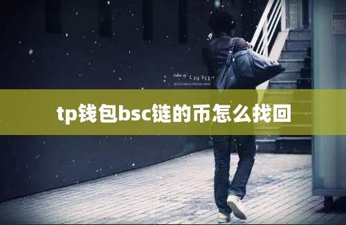 tp钱包bsc链的币怎么找回