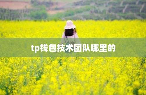 tp钱包技术团队哪里的