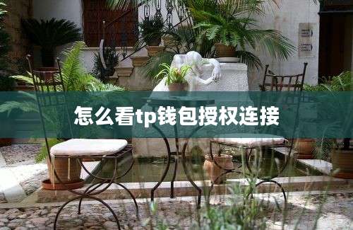 怎么看tp钱包授权连接
