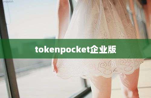 tokenpocket企业版