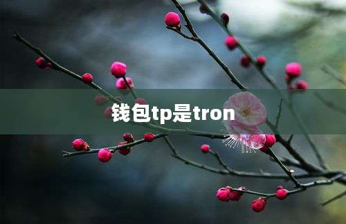 钱包tp是tron