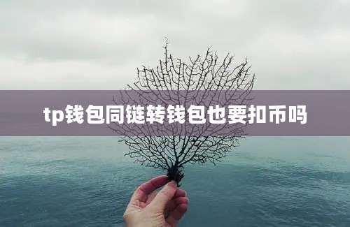 tp钱包同链转钱包也要扣币吗