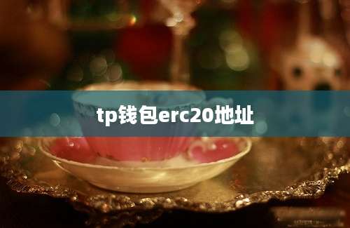 tp钱包erc20地址