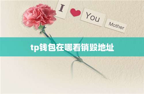 tp钱包在哪看销毁地址