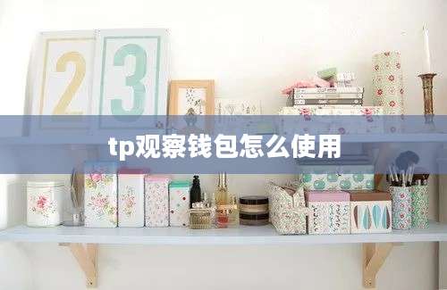 tp观察钱包怎么使用