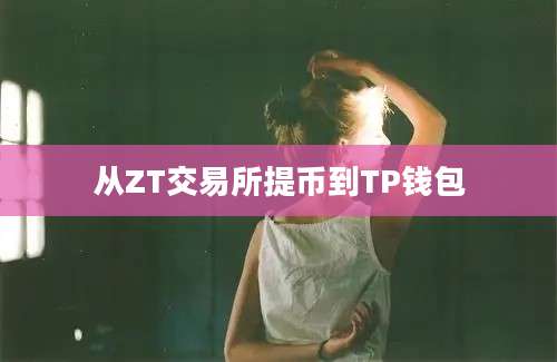 从ZT交易所提币到TP钱包
