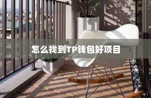 怎么找到TP钱包好项目