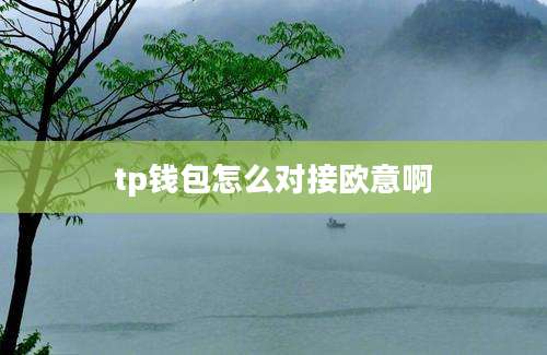 tp钱包怎么对接欧意啊