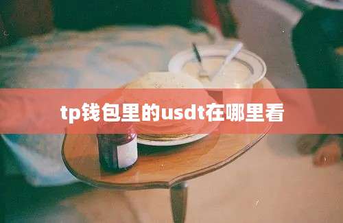 tp钱包里的usdt在哪里看