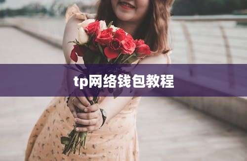 tp网络钱包教程
