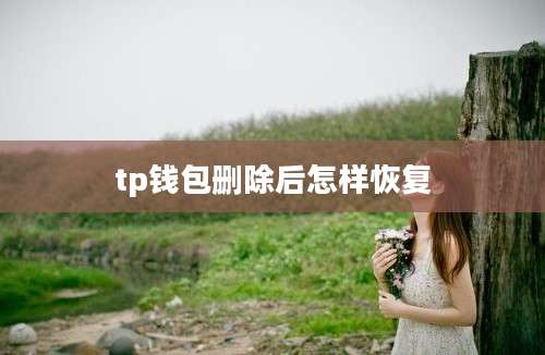 tp钱包删除后怎样恢复