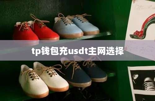 tp钱包充usdt主网选择