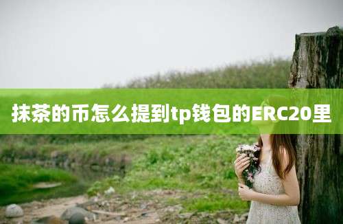 抹茶的币怎么提到tp钱包的ERC20里