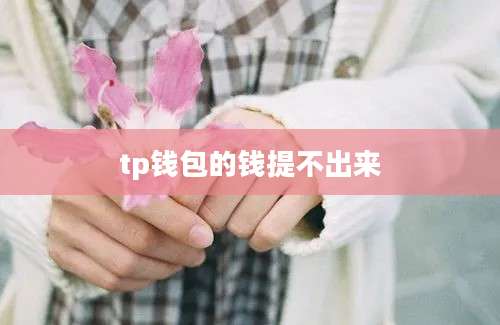 tp钱包的钱提不出来