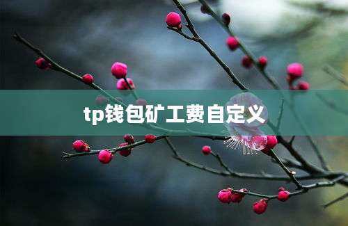 tp钱包矿工费自定义