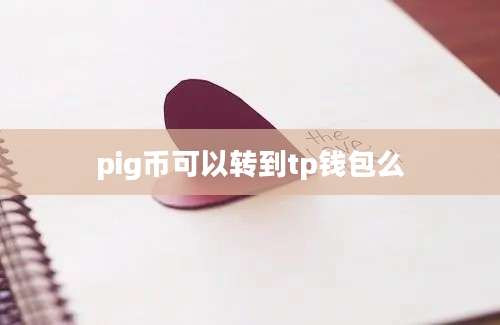 pig币可以转到tp钱包么