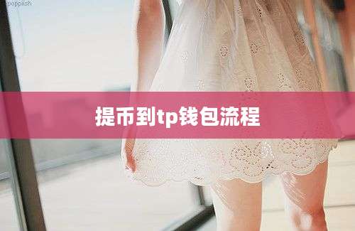 提币到tp钱包流程