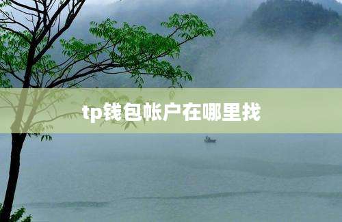 tp钱包帐户在哪里找