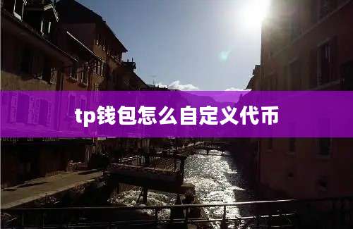 tp钱包怎么自定义代币