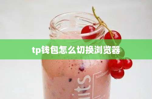 tp钱包怎么切换浏览器