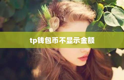tp钱包币不显示金额