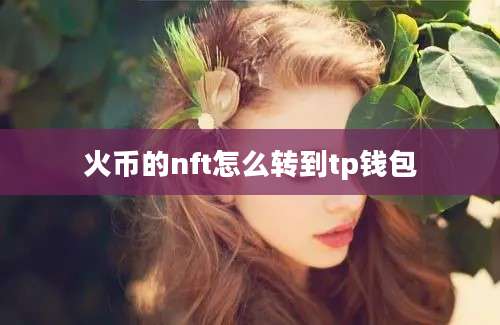 火币的nft怎么转到tp钱包