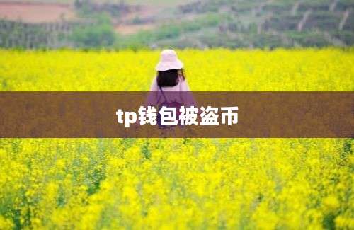 tp钱包被盗币