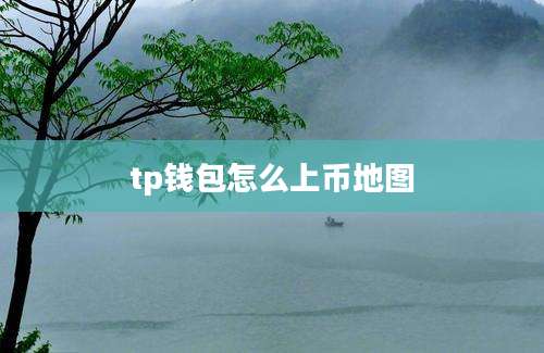 tp钱包怎么上币地图
