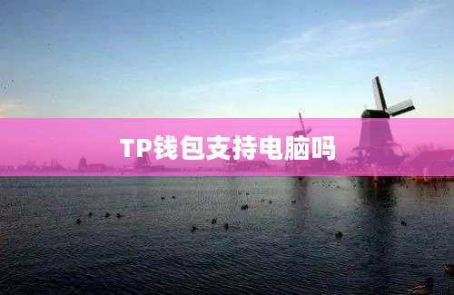 TP钱包支持电脑吗