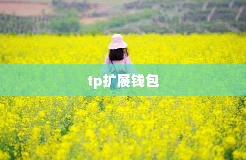 tp扩展钱包