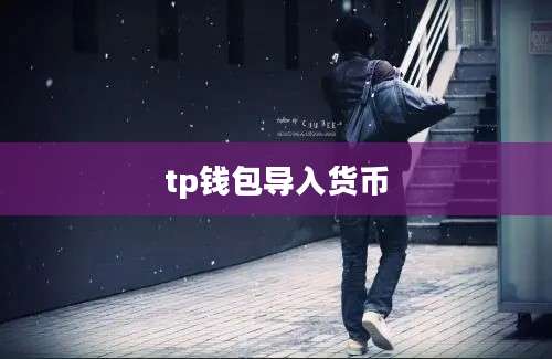 tp钱包导入货币