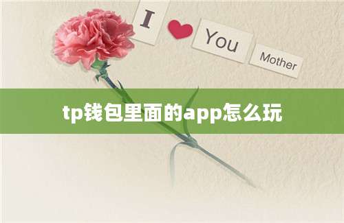 tp钱包里面的app怎么玩