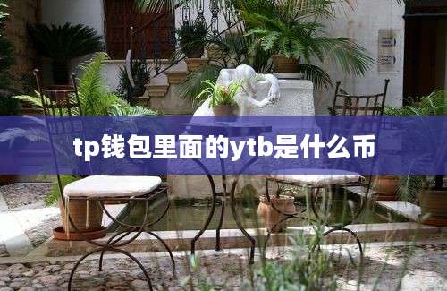 tp钱包里面的ytb是什么币