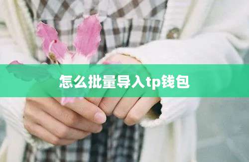 怎么批量导入tp钱包